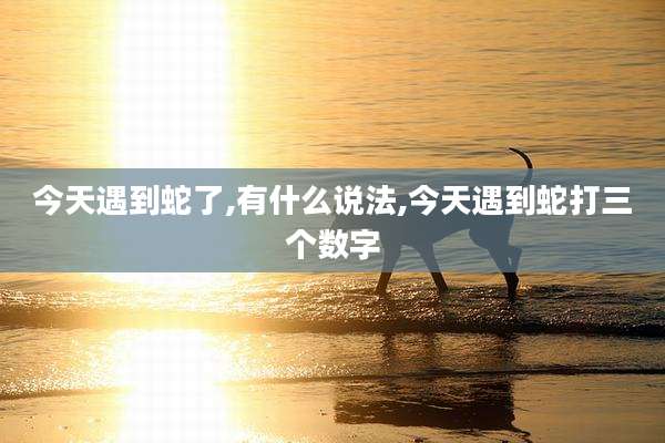 今天遇到蛇了,有什么说法,今天遇到蛇打三个数字