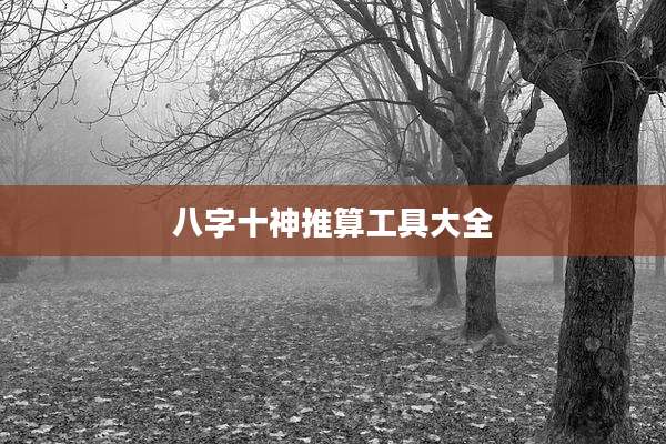 八字十神推算工具大全