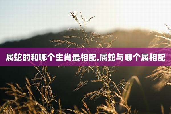 属蛇的和哪个生肖最相配,属蛇与哪个属相配