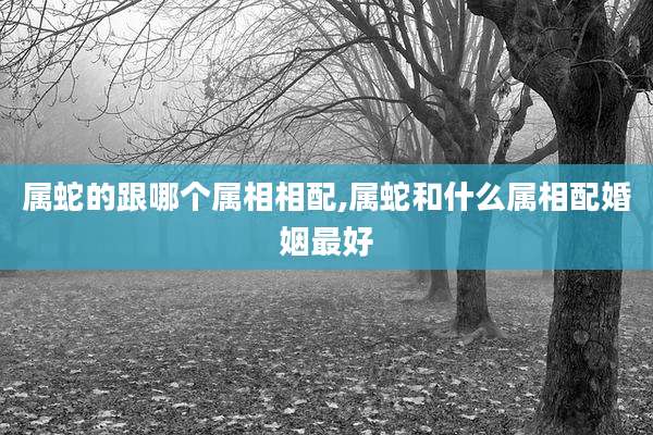 属蛇的跟哪个属相相配,属蛇和什么属相配婚姻最好