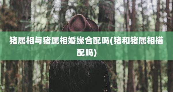 猪属相与猪属相婚缘合配吗(猪和猪属相搭配吗)