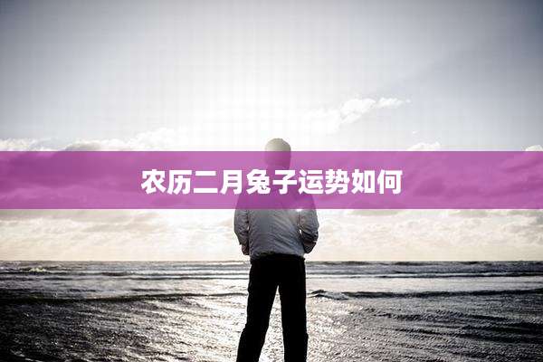 农历二月兔子运势如何