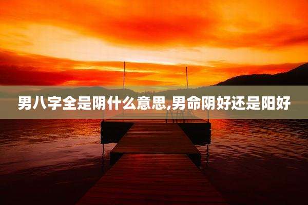 男八字全是阴什么意思,男命阴好还是阳好