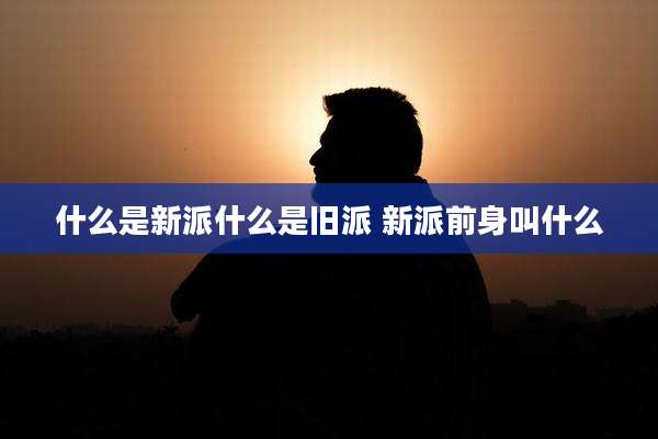 什么是新派什么是旧派 新派前身叫什么