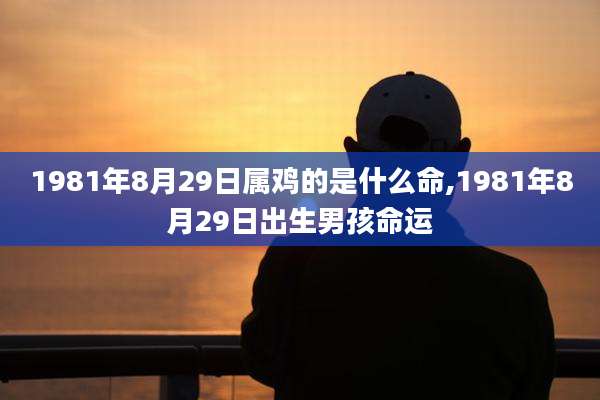 1981年8月29日属鸡的是什么命,1981年8月29日出生男孩命运