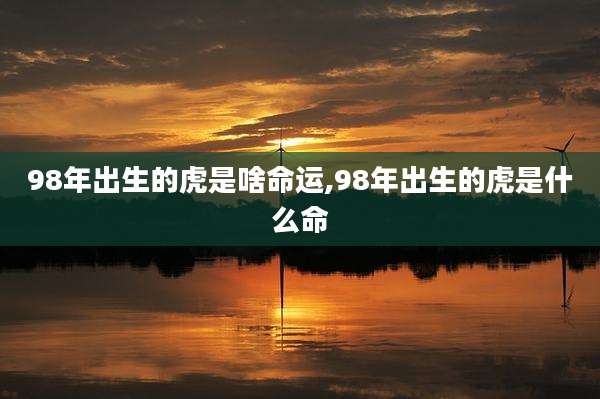 98年出生的虎是啥命运,98年出生的虎是什么命