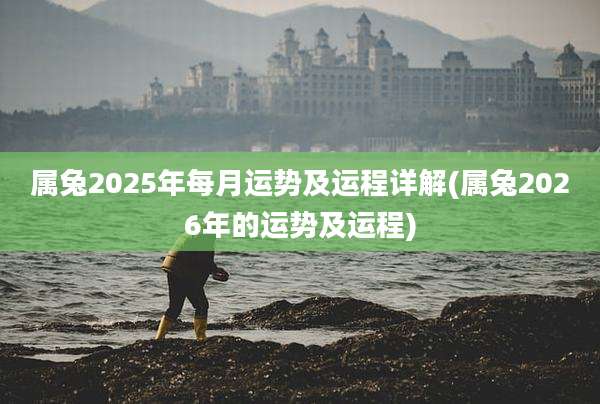 属兔2025年每月运势及运程详解(属兔2026年的运势及运程)