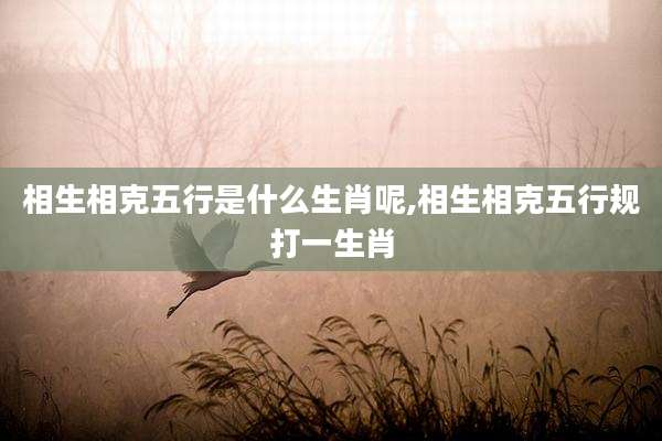 相生相克五行是什么生肖呢,相生相克五行规打一生肖