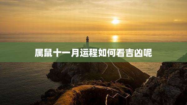属鼠十一月运程如何看吉凶呢