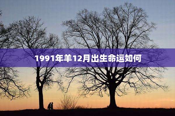 1991年羊12月出生命运如何