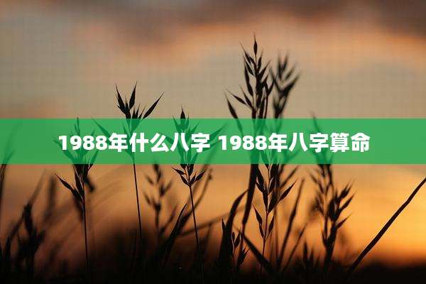 1988年什么八字 1988年八字算命