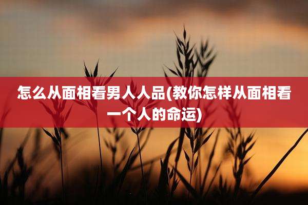 怎么从面相看男人人品(教你怎样从面相看一个人的命运)