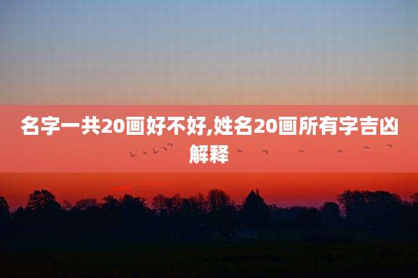 名字一共20画好不好,姓名20画所有字吉凶解释
