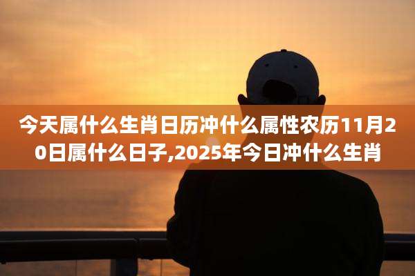 今天属什么生肖日历冲什么属性农历11月20日属什么日子,2025年今日冲什么生肖