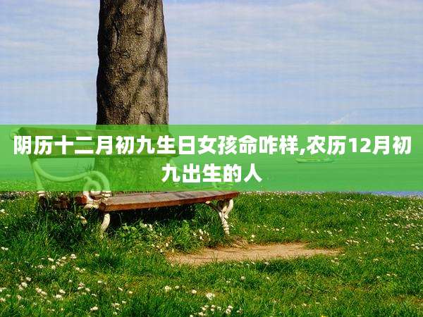 阴历十二月初九生日女孩命咋样,农历12月初九出生的人