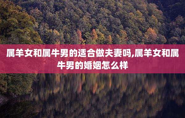 属羊女和属牛男的适合做夫妻吗,属羊女和属牛男的婚姻怎么样