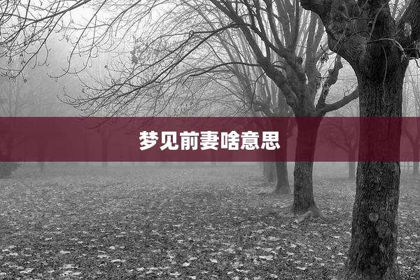 梦见前妻啥意思