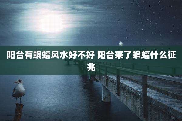 阳台有蝙蝠风水好不好 阳台来了蝙蝠什么征兆