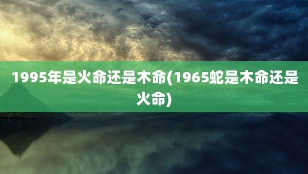 1995年是火命还是木命(1965蛇是木命还是火命)