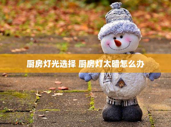 厨房灯光选择 厨房灯太暗怎么办
