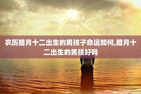 农历腊月十二出生的男孩子命运如何,腊月十二出生的男孩好吗