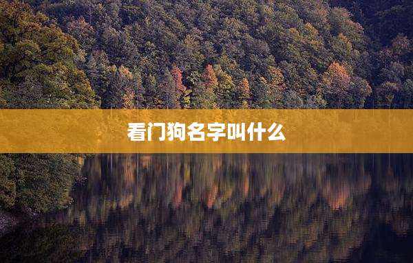 看门狗名字叫什么