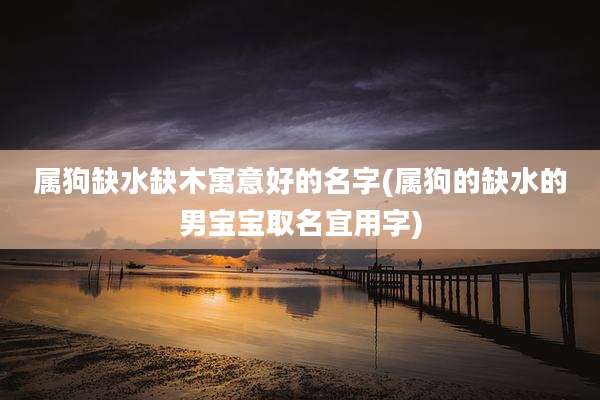 属狗缺水缺木寓意好的名字(属狗的缺水的男宝宝取名宜用字)