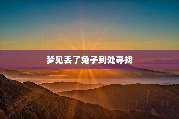 梦见丢了兔子到处寻找