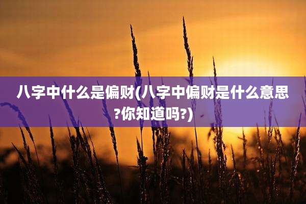 八字中什么是偏财(八字中偏财是什么意思?你知道吗?)