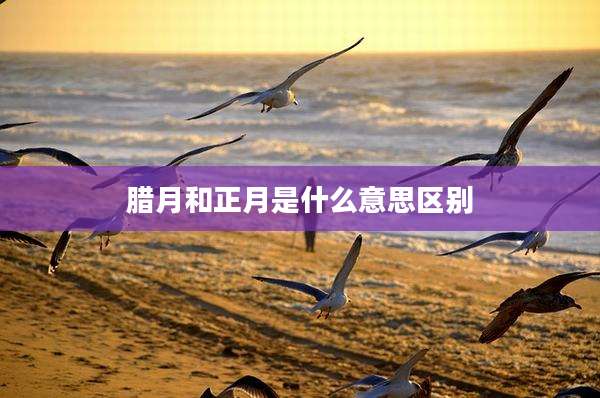 腊月和正月是什么意思区别