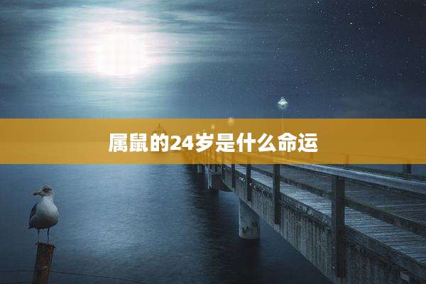 属鼠的24岁是什么命运