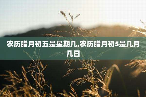 农历腊月初五是星期几,农历腊月初5是几月几日