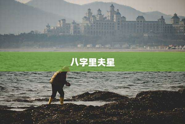 八字里夫星