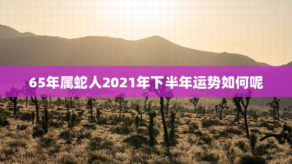65年属蛇人2021年下半年运势如何呢