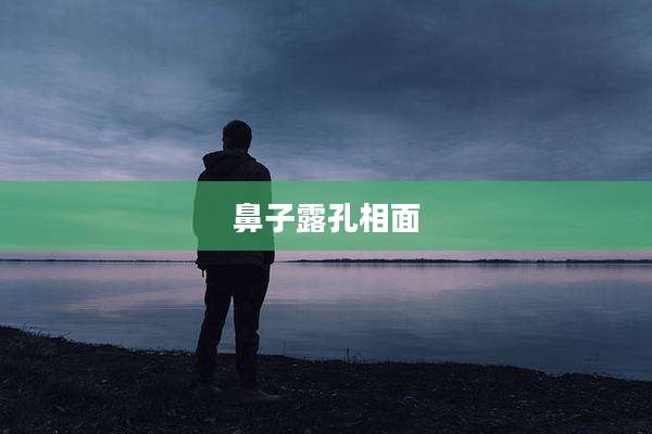 鼻子露孔相面