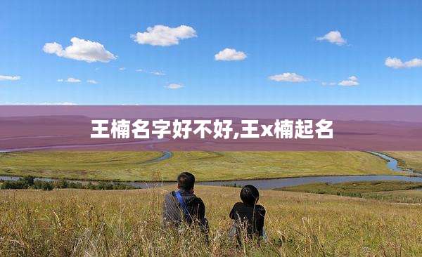 王楠名字好不好,王x楠起名