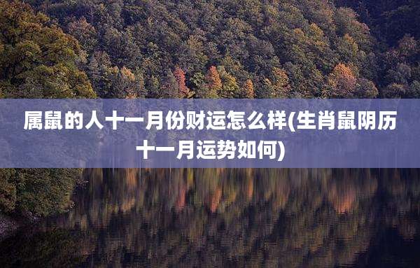 属鼠的人十一月份财运怎么样(生肖鼠阴历十一月运势如何)