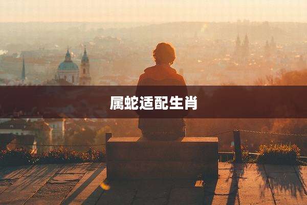 属蛇适配生肖