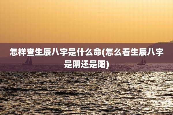 怎样查生辰八字是什么命(怎么看生辰八字是阴还是阳)