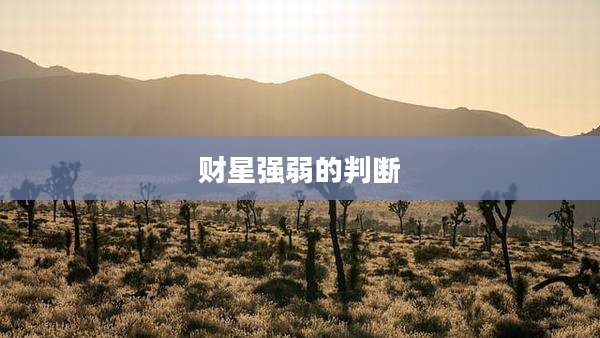 财星强弱的判断