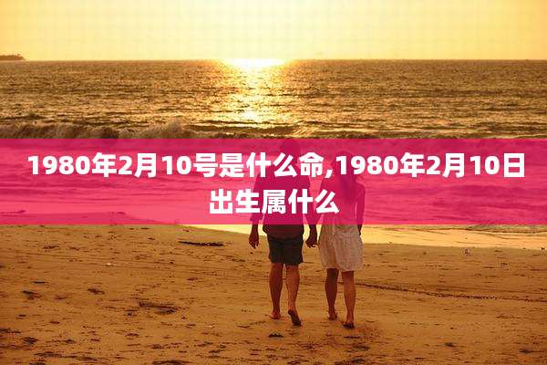 1980年2月10号是什么命,1980年2月10日出生属什么