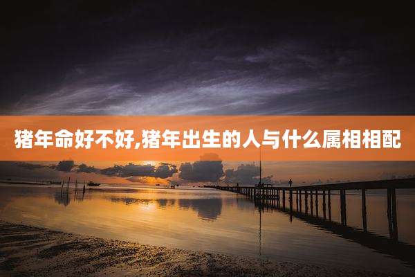 猪年命好不好,猪年出生的人与什么属相相配