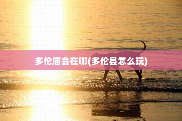 多伦庙会在哪(多伦县怎么玩)