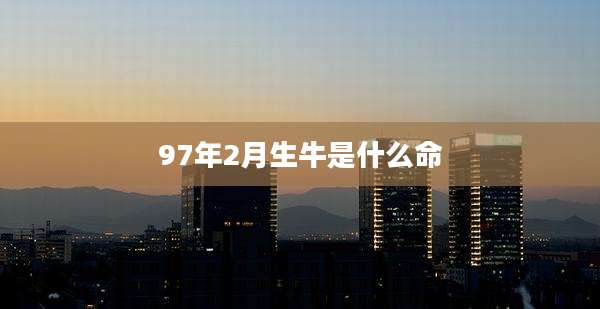 97年2月生牛是什么命