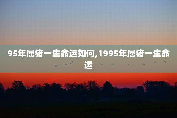 95年属猪一生命运如何,1995年属猪一生命运