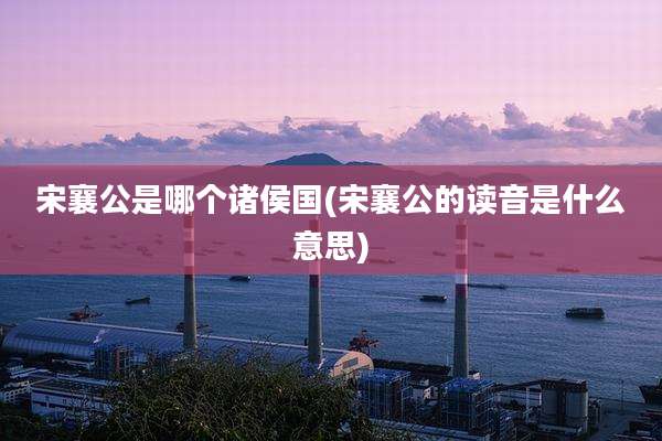宋襄公是哪个诸侯国(宋襄公的读音是什么意思)