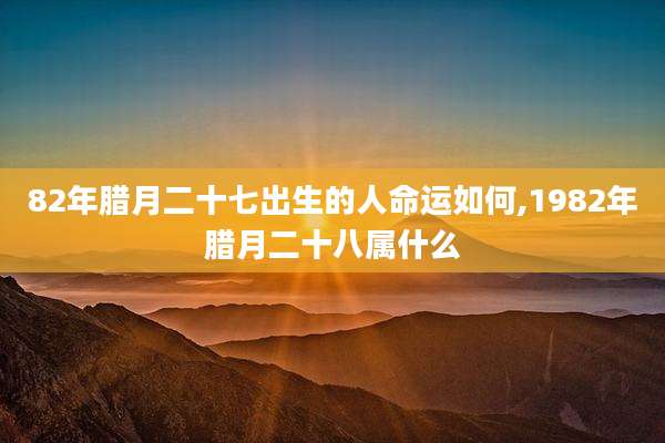 82年腊月二十七出生的人命运如何,1982年腊月二十八属什么