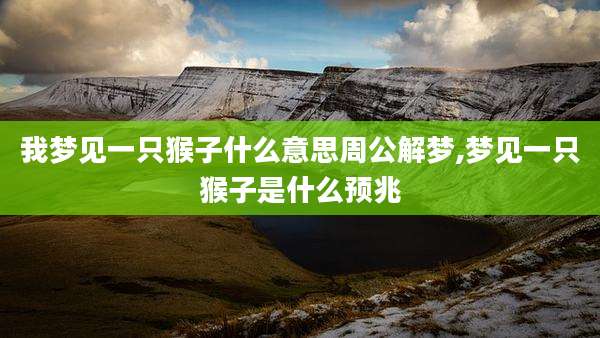 我梦见一只猴子什么意思周公解梦,梦见一只猴子是什么预兆