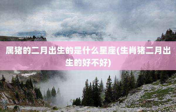 属猪的二月出生的是什么星座(生肖猪二月出生的好不好)