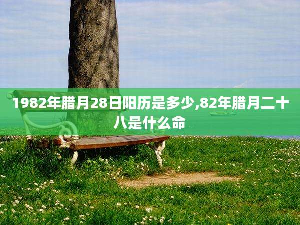 1982年腊月28日阳历是多少,82年腊月二十八是什么命